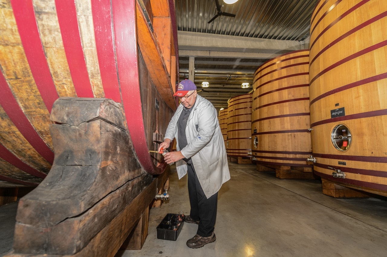 Sabor ácido pero refinado: cada dos meses se catan las cervezas en los barriles «Foeder». 