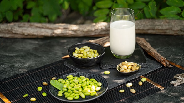 Milk alternatives – and what is important for their production