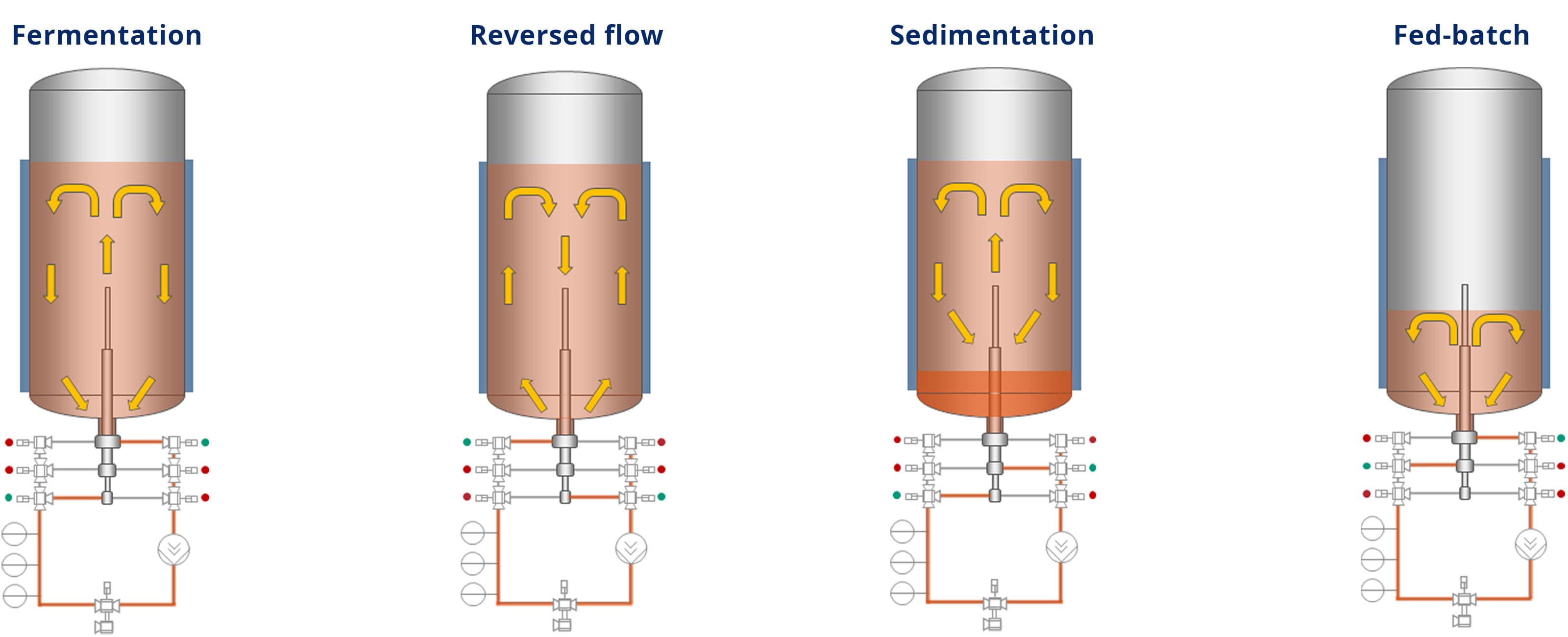 The processes in the bioreactor in detail