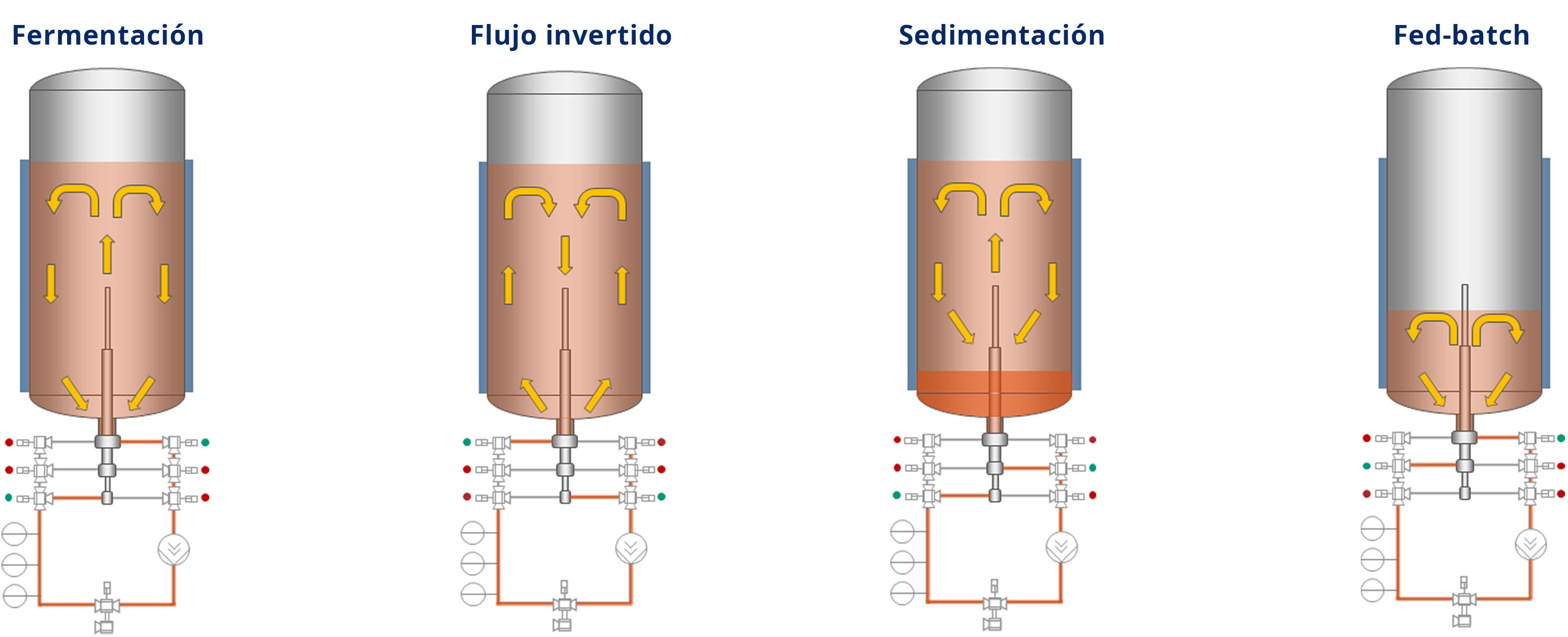 Los procesos en el biorreactor en detalle