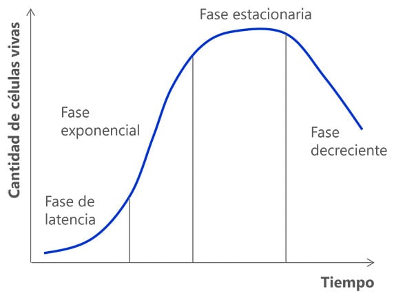 Tareas de la gestión de levaduras