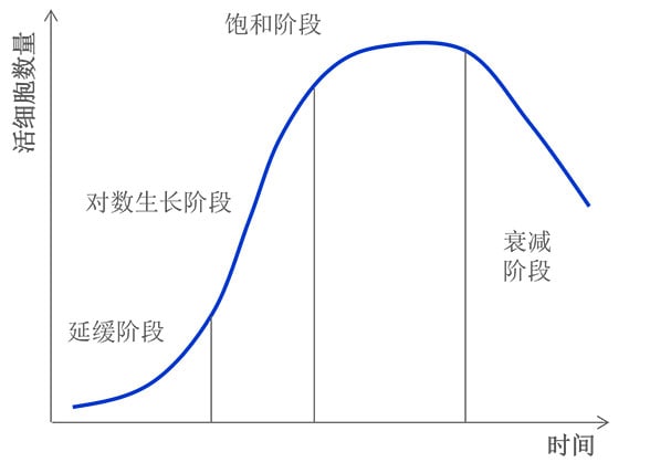 扩培各期